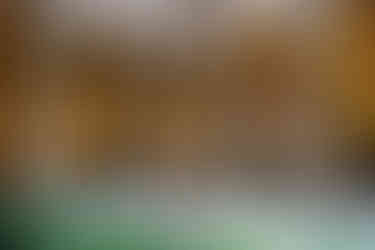 Palazzo Vecchio Florence