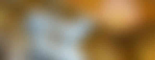 Rape-of-Proserpina-statue-borghese-gallery-rome-italy