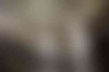 apollo and daphne in the borghese gallery rome and link to the borghese galler tour by roma experience