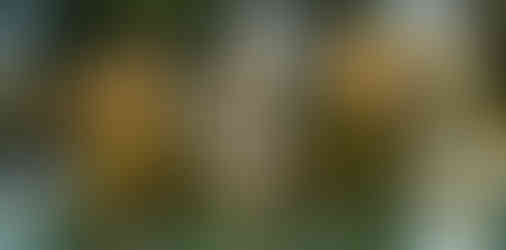 statue-of-mother-and-baby-in-a-pond-at-borghese-gardens-rome-italy