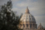 view-of-the-dome-of-st-peter's-vatican-city-italy