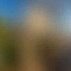 borghese villa park, rome, italy