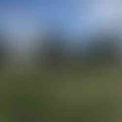 ruins at ostia antica